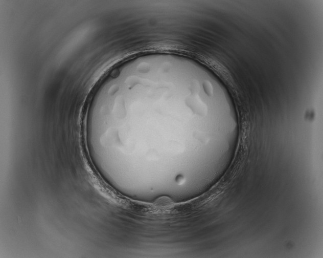 X0000115621039200911241619