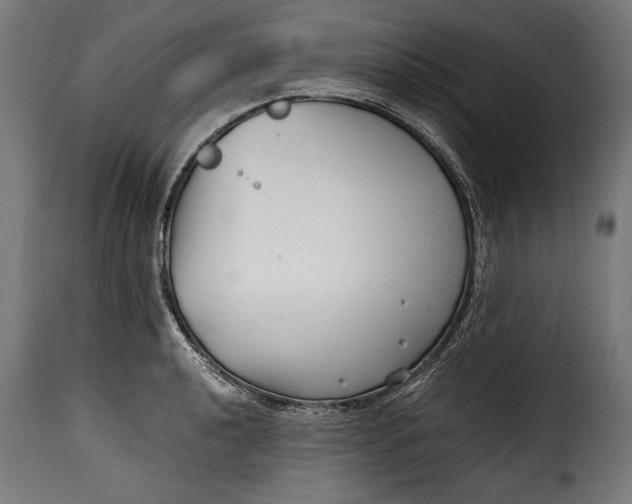 X0000115621040200911241619