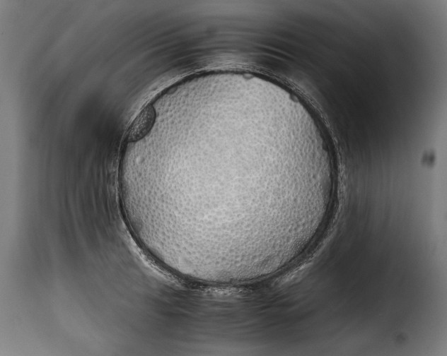 X0000115621041200911241619