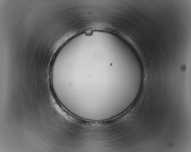 X0000115621042200911241619