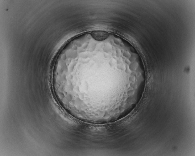 X0000115621043200911241619