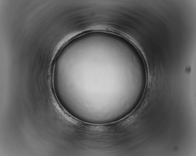 X0000115621045200911241619