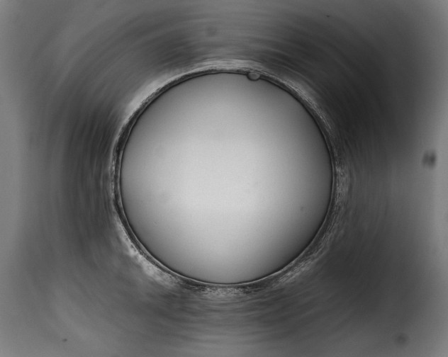 X0000115621046200911241619