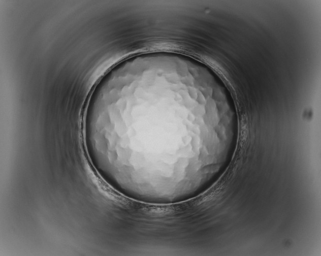 X0000115621047200911241619