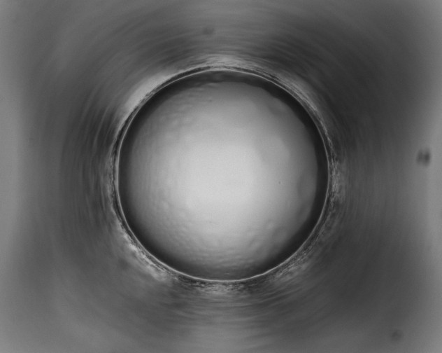 X0000115621048200911241619