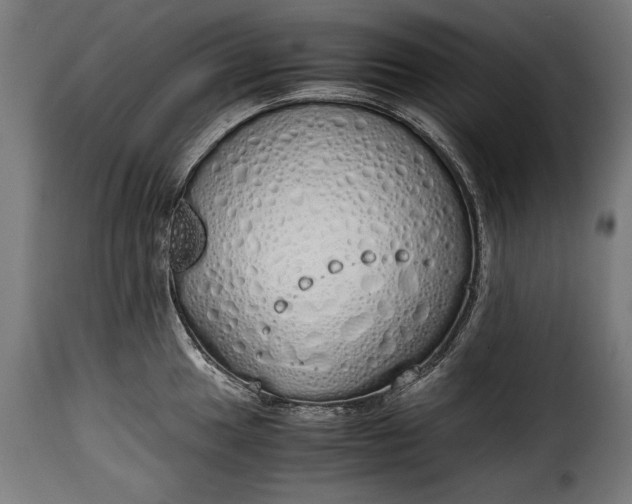 X0000115621049200911241619