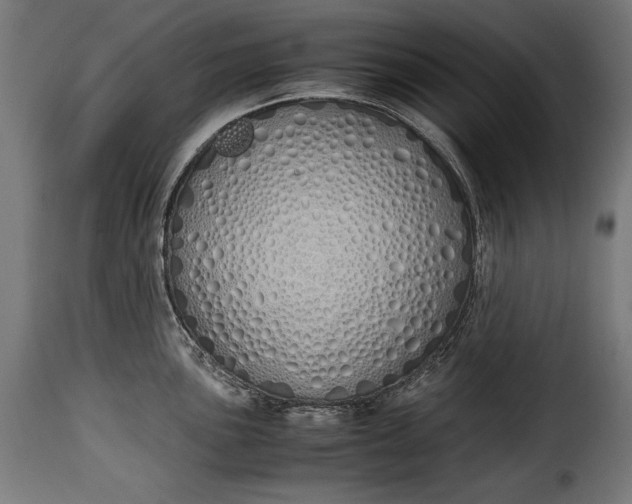 X0000115621051200911241619