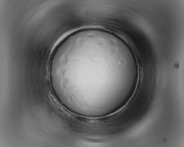 X0000115621052200911241619