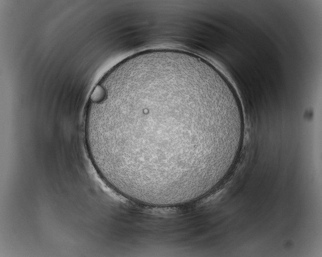 X0000115621053200911241619