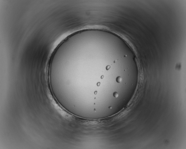 X0000115621054200911241619