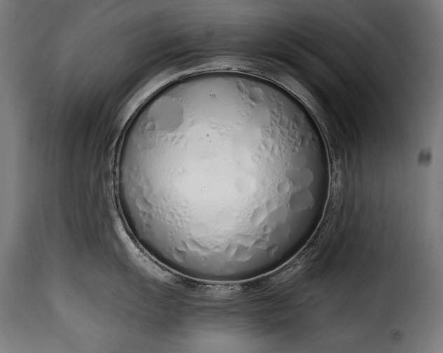 X0000115621055200911241619