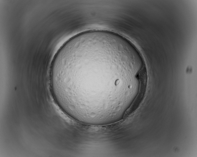 X0000115621056200911241619