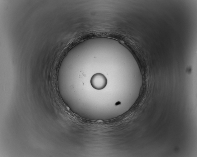 X0000115621057200911241619