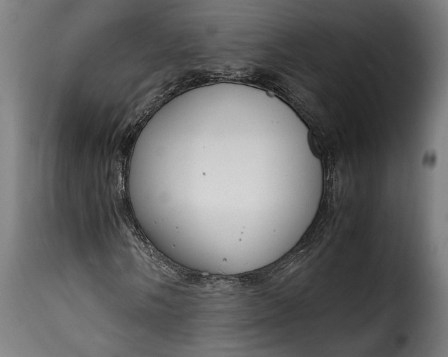 X0000115621058200911241619