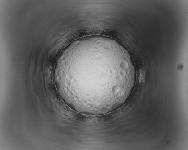 X0000115621059200911241619