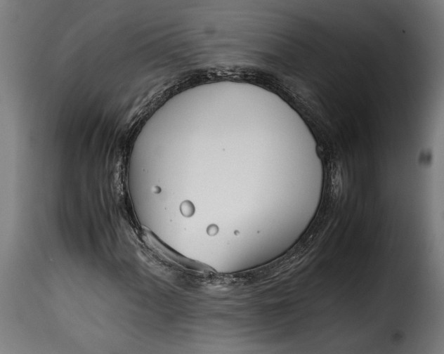 X0000115621060200911241618