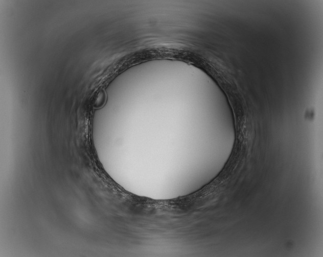 X0000115621061200911241618