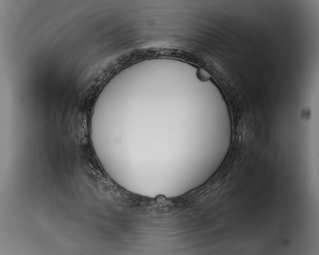 X0000115621062200911241618