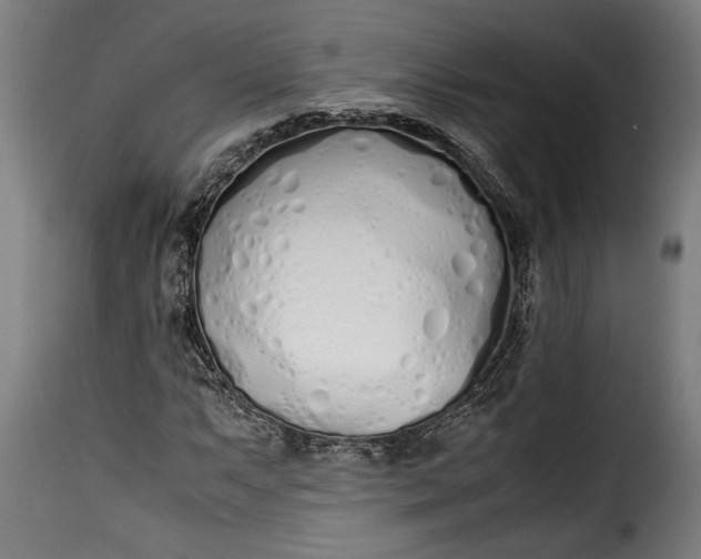 X0000115621063200911241618