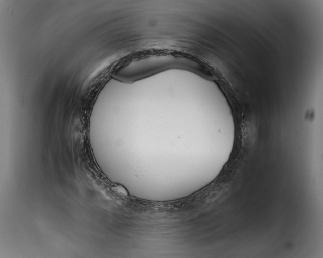 X0000115621064200911241618