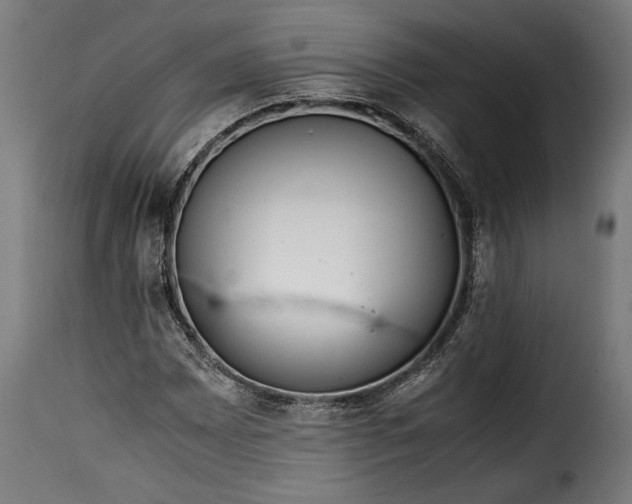 X0000115621065200911241618