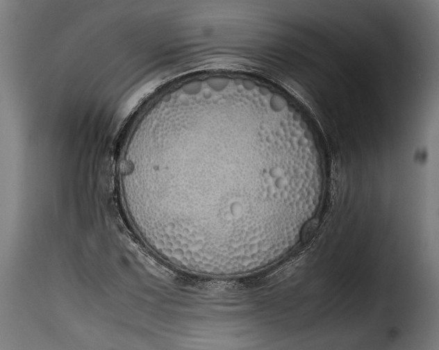 X0000115621067200911241618