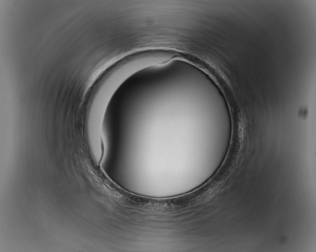 X0000115621069200911241618