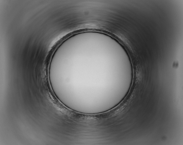 X0000115621070200911241618