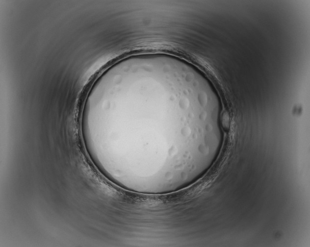 X0000115621071200911241618