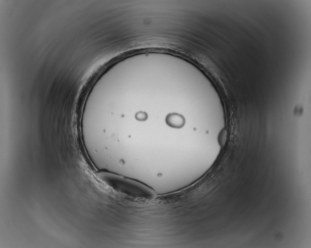 X0000115621072200911241618