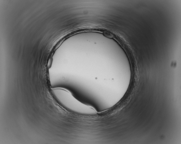 X0000115621073200911241618