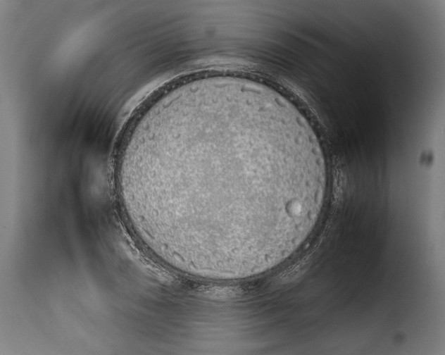 X0000115621074200911241618