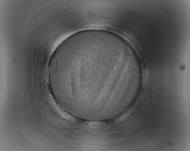 X0000115621077200911241618