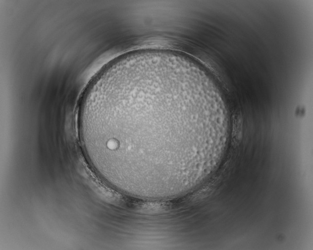 X0000115621078200911241618