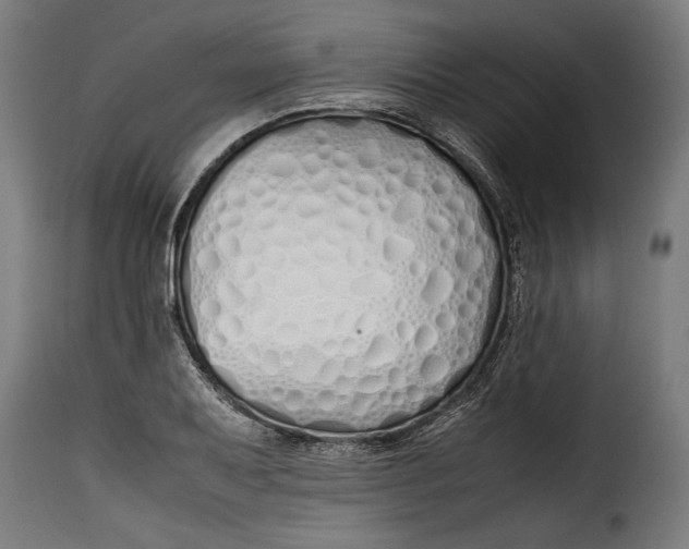 X0000115621079200911241618