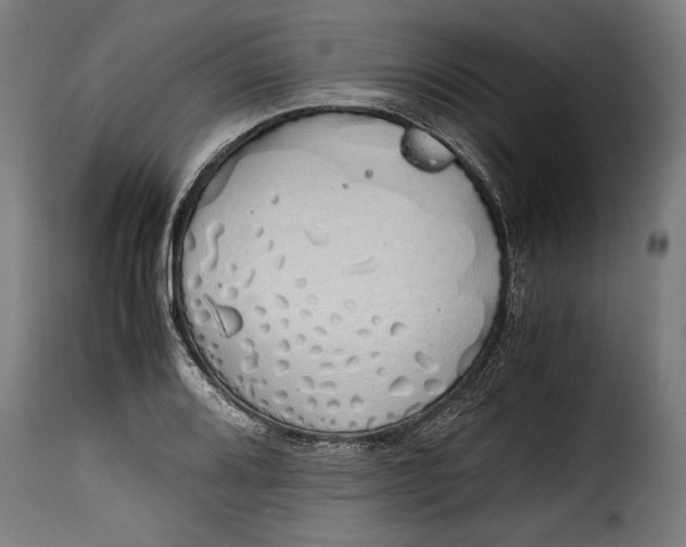 X0000115621080200911241618