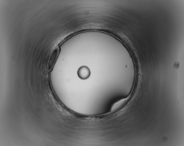 X0000115621081200911241618