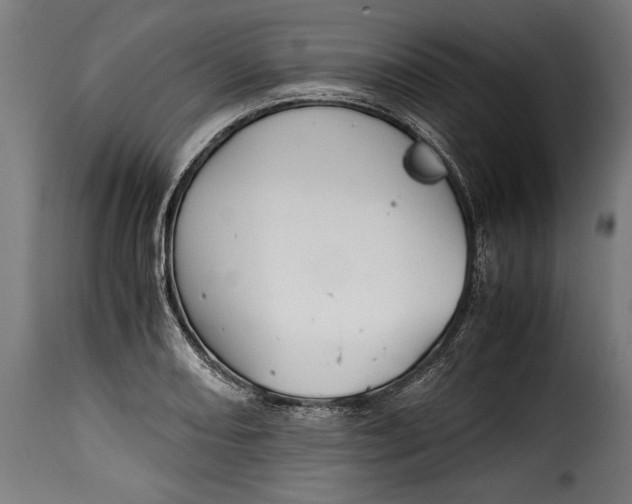 X0000115621082200911241618