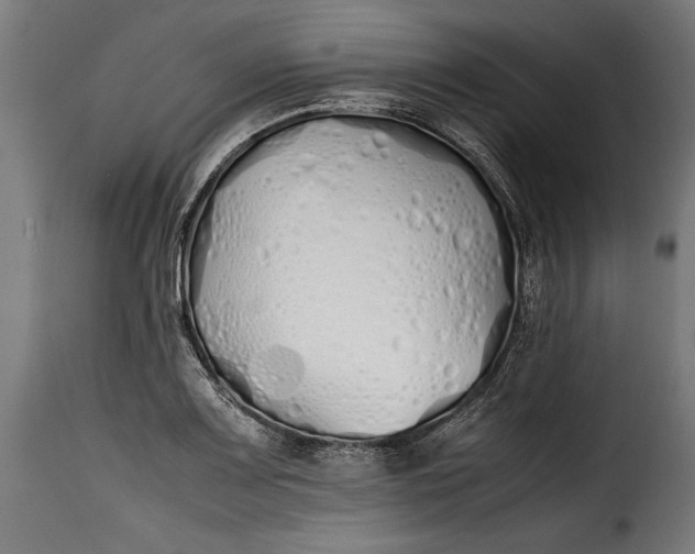 X0000115621083200911241618