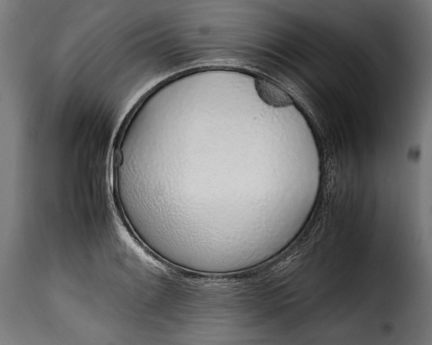 X0000115621084200911241618