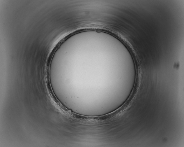 X0000115621085200911241618