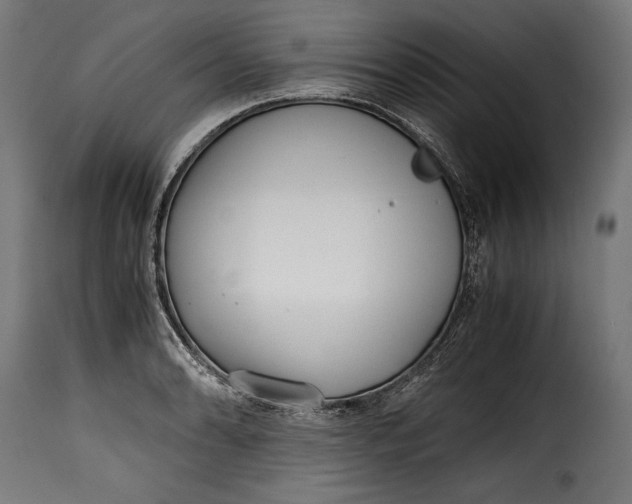 X0000115621086200911241618