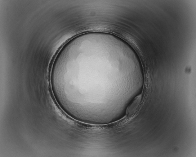 X0000115621087200911241618