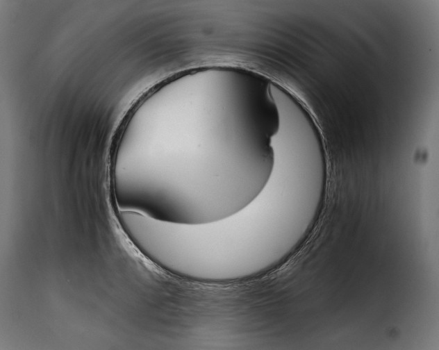 X0000115621088200911241618