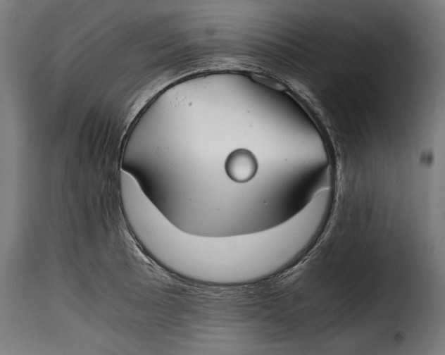 X0000115621089200911241618