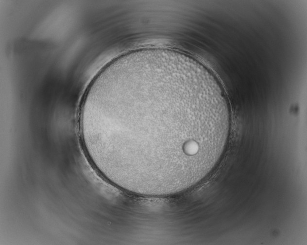 X0000115621090200911241618