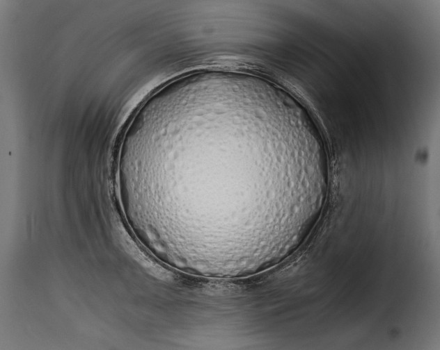 X0000115621091200911241618