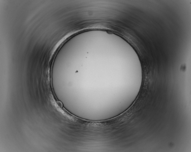 X0000115621092200911241618