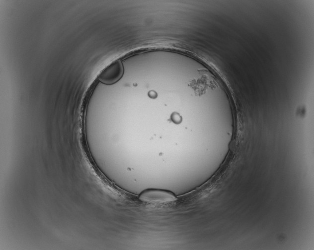 X0000115621093200911241618