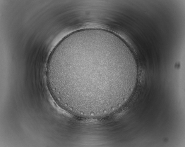 X0000115621094200911241618